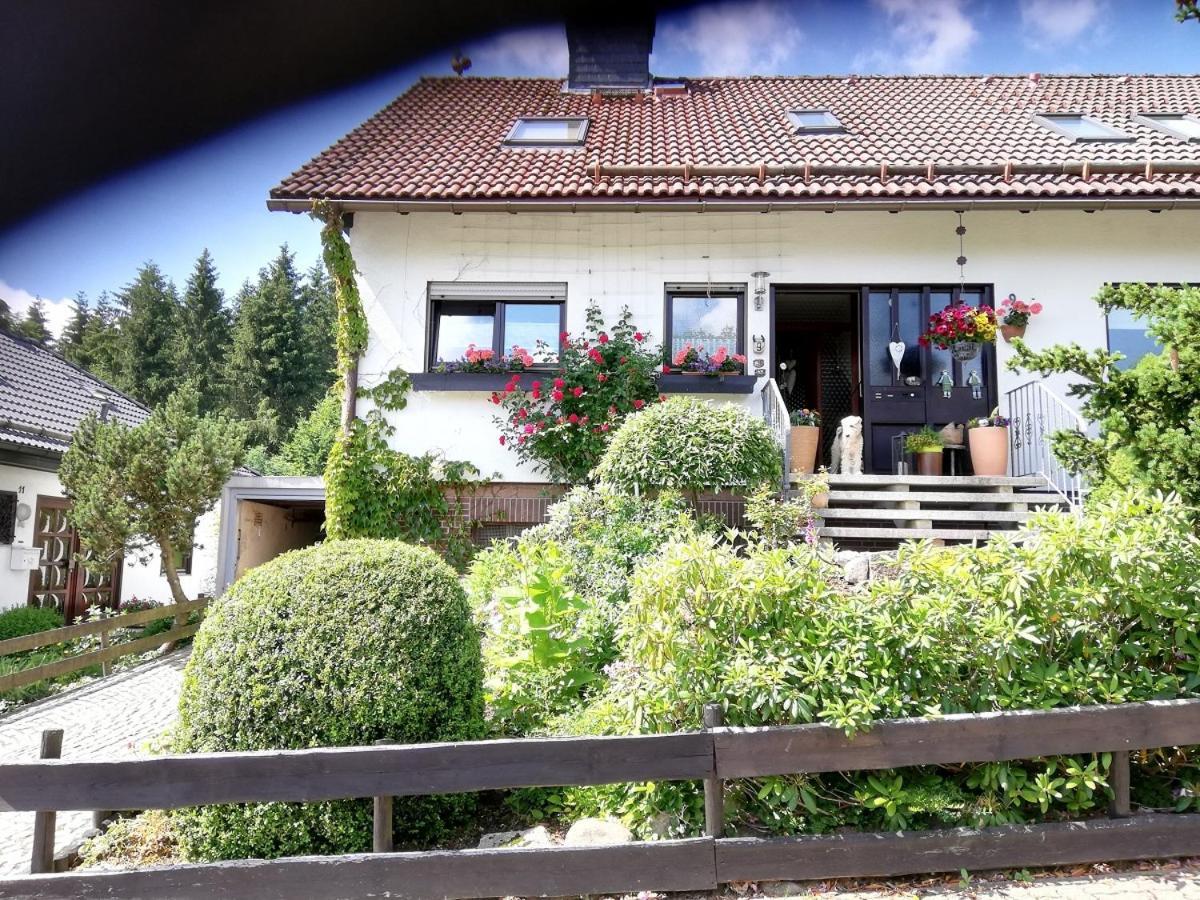 Ferienwohnung Anemone Mit Bergblick 브라운라제 외부 사진